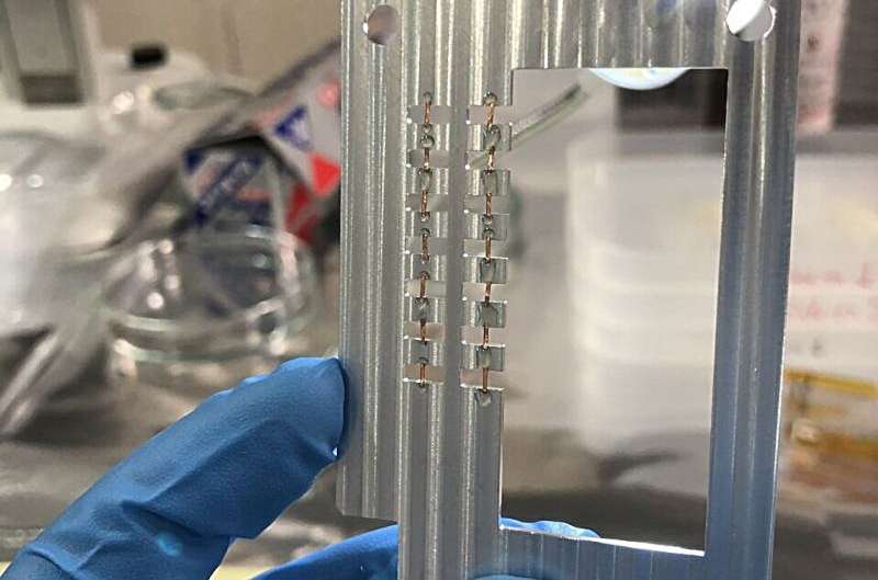 研究人员使用新型超快激光方法跟踪等离子体的生成